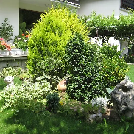 Vendégház Slavina 3*